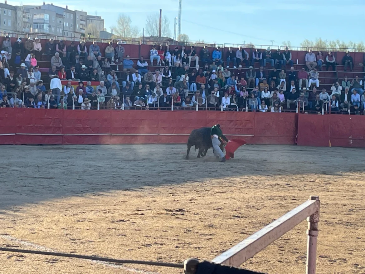 Coria celebrará la X edición de la Feria Internacional del Toro -FitCoria 2026- con un amplio programa taurino, cultural y de ocio