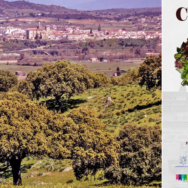 Ven y Disfruta del Día Mundial del Turismo Aderezado con la Fiesta Gastronómica de la Vaca y la Ternera en la Ciudad de Coria.
