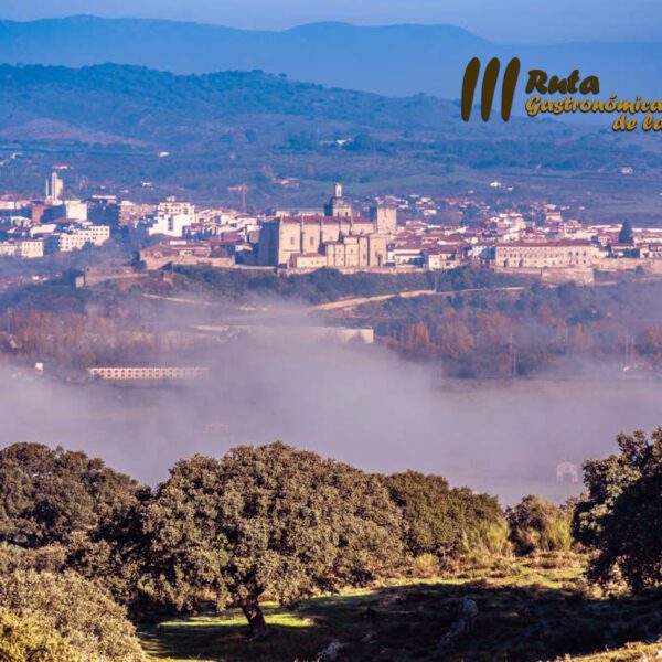 Los Sabores Tradicionales de la Matanza en la Ciudad de Coria.