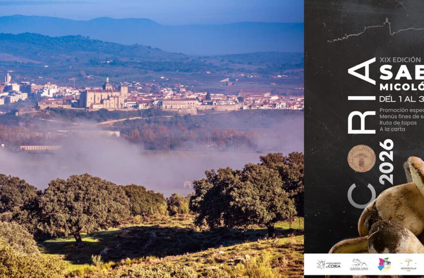 Un Viaje de Experiencias en Coria Sabor Micológico